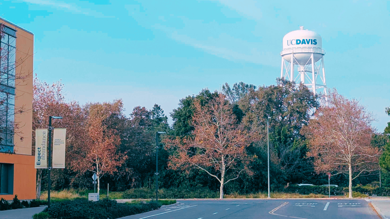 Welcome to Davis | California’s College Town